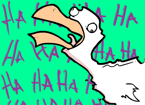 Image:Bird.png